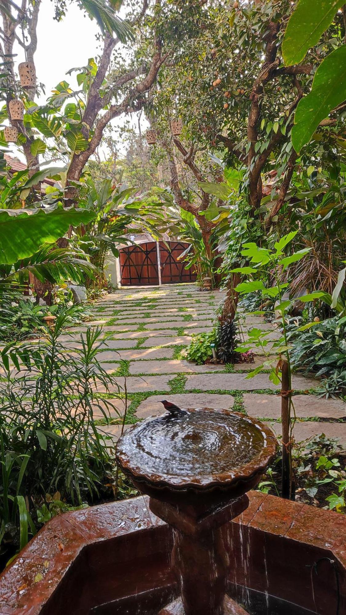 The Postcard Saligao Otel Calangute Dış mekan fotoğraf
