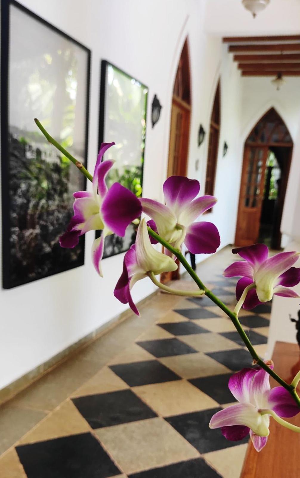 The Postcard Saligao Otel Calangute Dış mekan fotoğraf