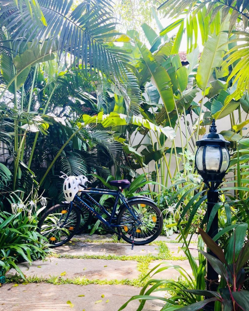The Postcard Saligao Otel Calangute Dış mekan fotoğraf